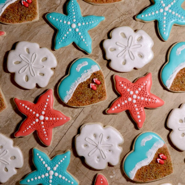 Sand Dollar Cookie Cutter The Cookie Cutter Shop