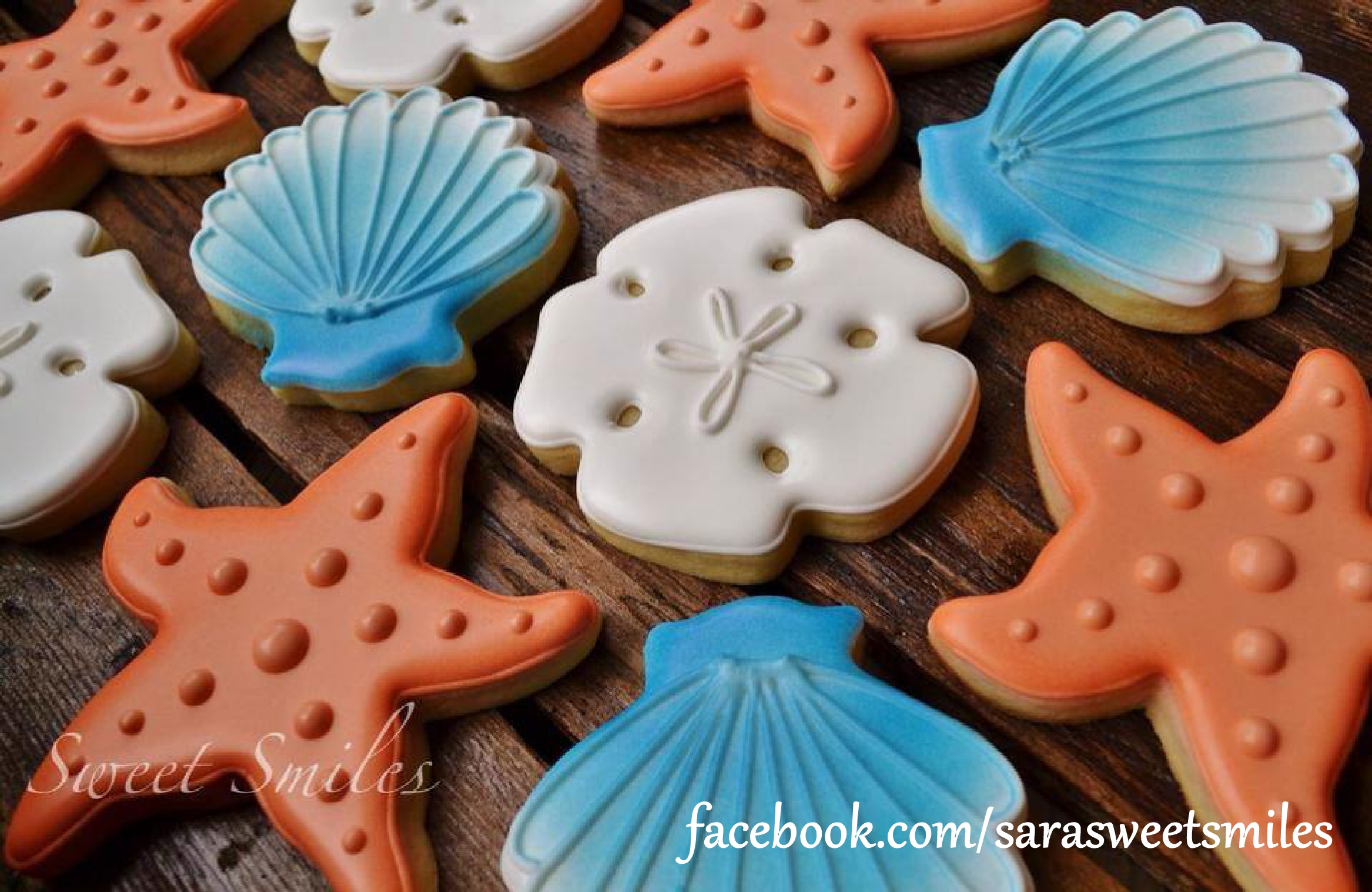 Sand Dollar Cookie Cutter The Cookie Cutter Shop