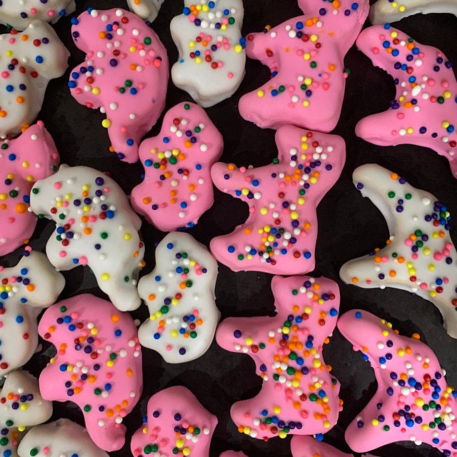 5 Piece Mini Circus Animal Cookie Cutter Set The Cookie Cutter Shop